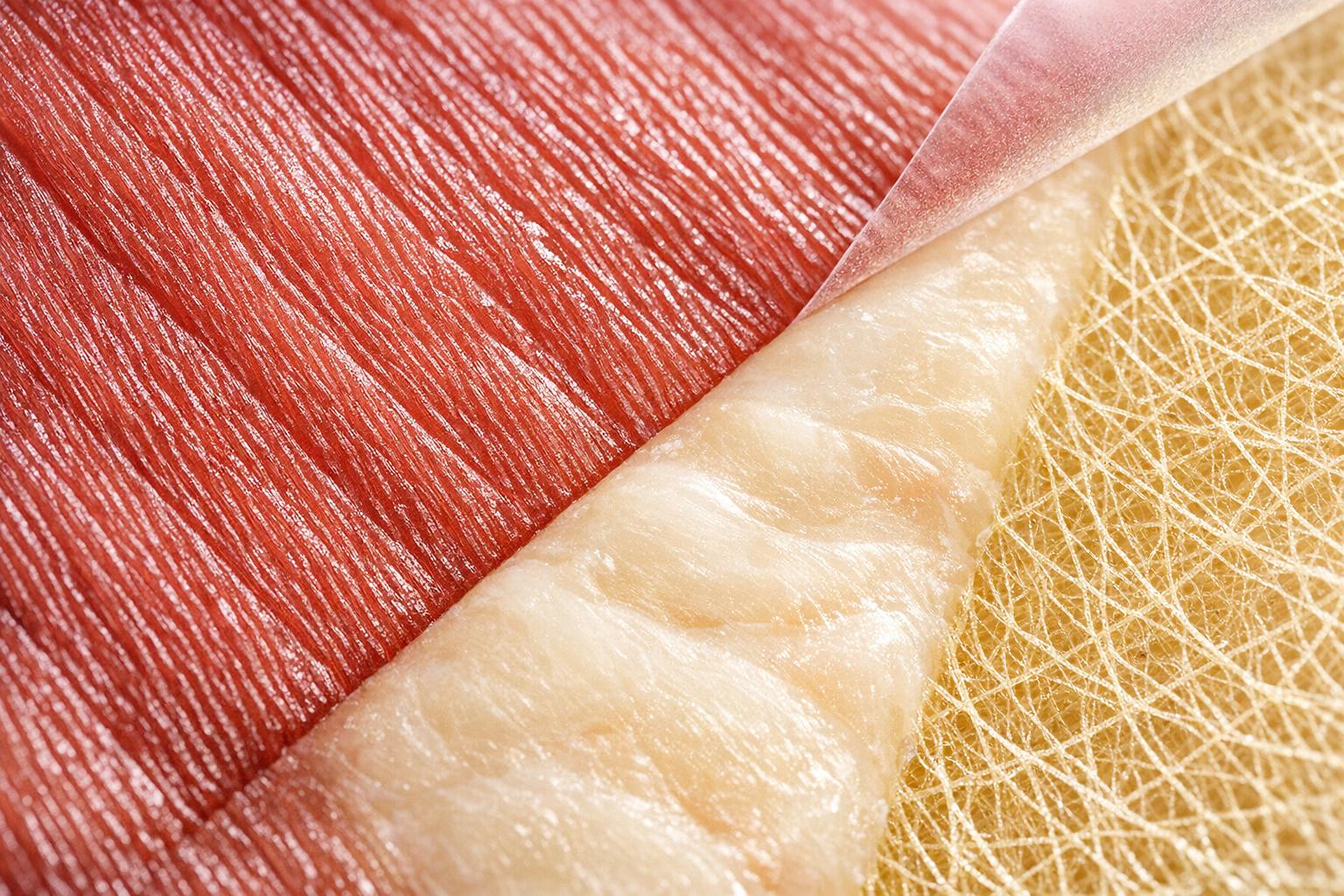 Cell Line Selection: Impact on Taste and Texture